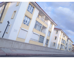 00004-Melek-Apt.gif