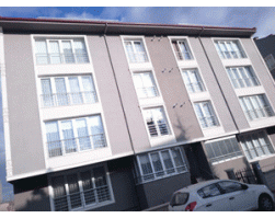 00007-Selviler-Apt_1.gif